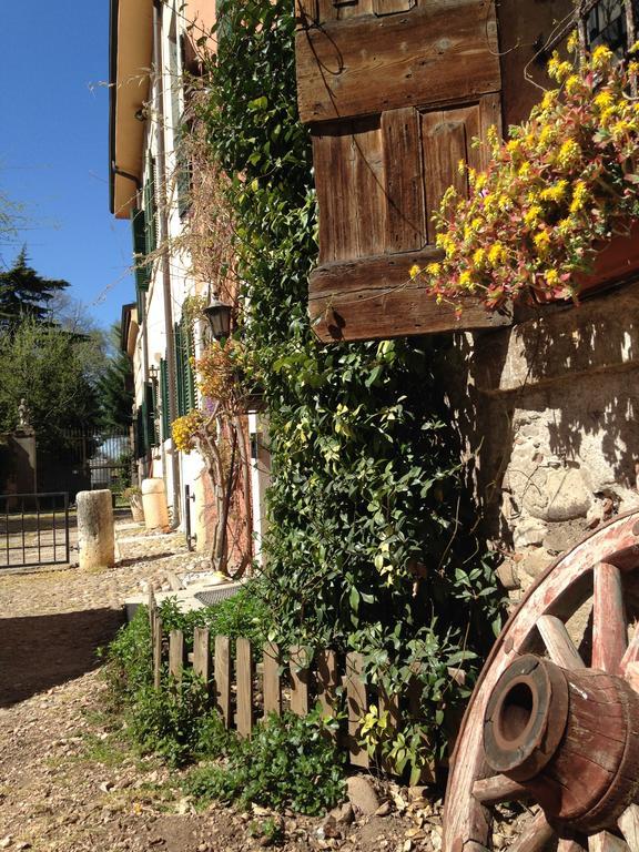 Agriturismo Corte Pellegrini San Martino Buon Albergo Εξωτερικό φωτογραφία