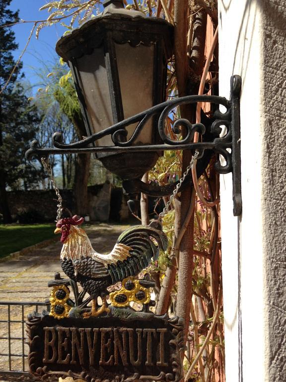 Agriturismo Corte Pellegrini San Martino Buon Albergo Εξωτερικό φωτογραφία